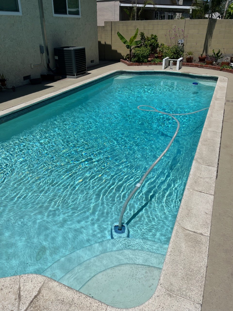 Dolphin work 3 — Huntington Beach